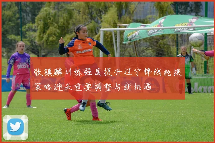 张镇麟训练强度提升辽宁锋线轮换策略迎来重要调整与新机遇