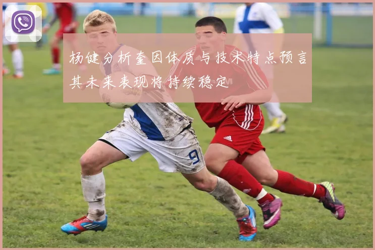 杨健分析奎因体质与技术特点预言其未来表现将持续稳定
