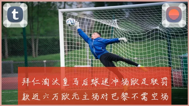 拜仁淘汰皇马后球迷冲场欧足联罚款近六万欧元主场对巴黎不需空场