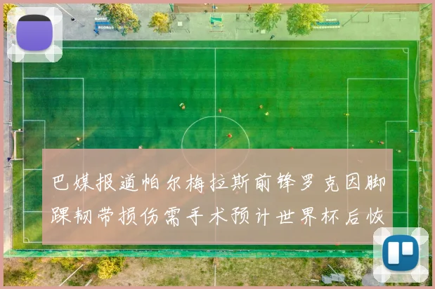 巴媒报道帕尔梅拉斯前锋罗克因脚踝韧带损伤需手术预计世界杯后恢复